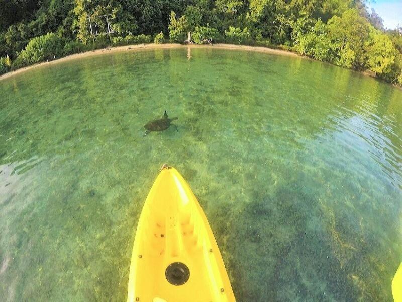 Sumatra Ecolodge Sungaipisang 외부 사진