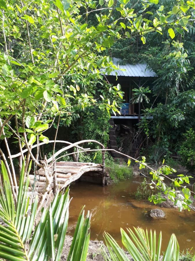 Sumatra Ecolodge Sungaipisang 외부 사진