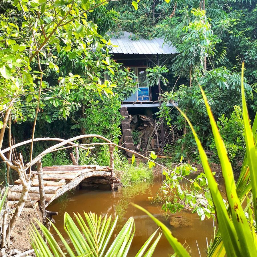 Sumatra Ecolodge Sungaipisang 외부 사진