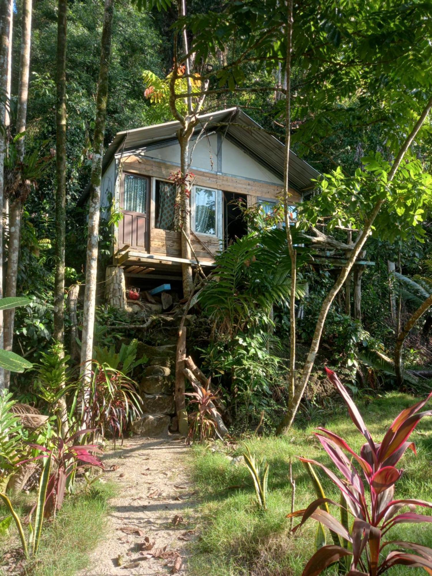 Sumatra Ecolodge Sungaipisang 외부 사진