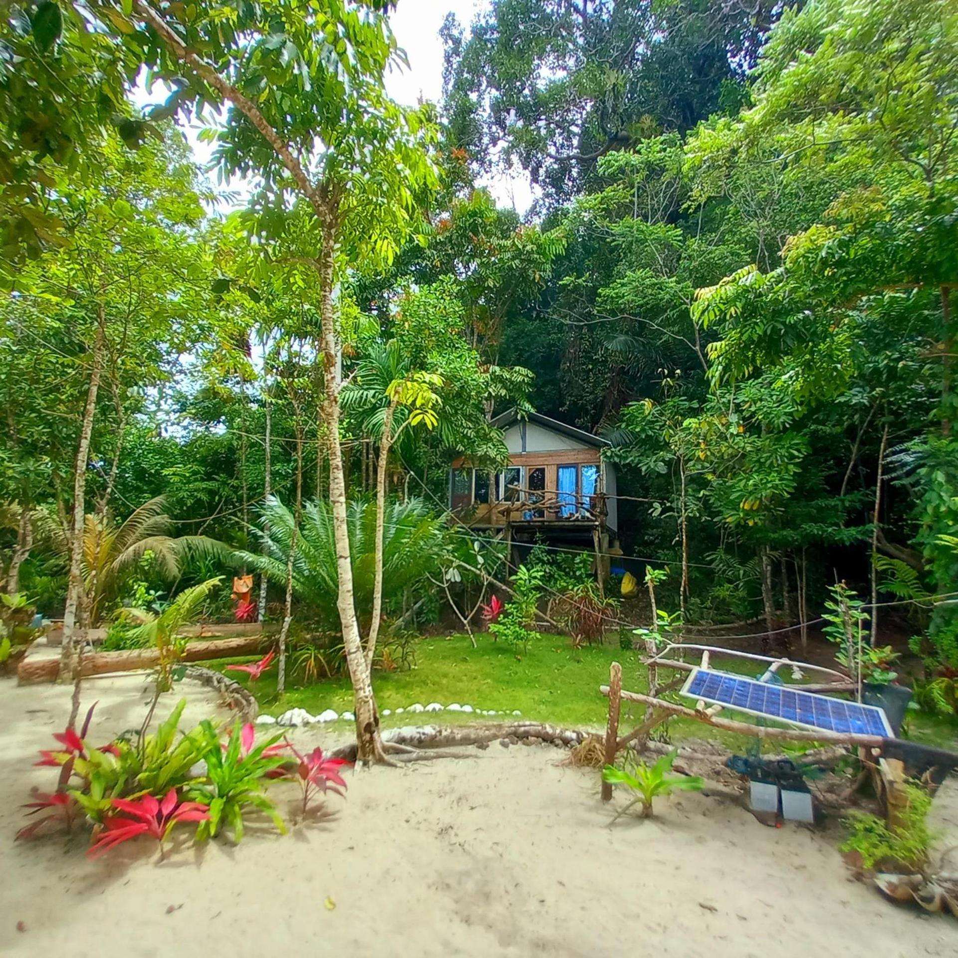 Sumatra Ecolodge Sungaipisang 외부 사진