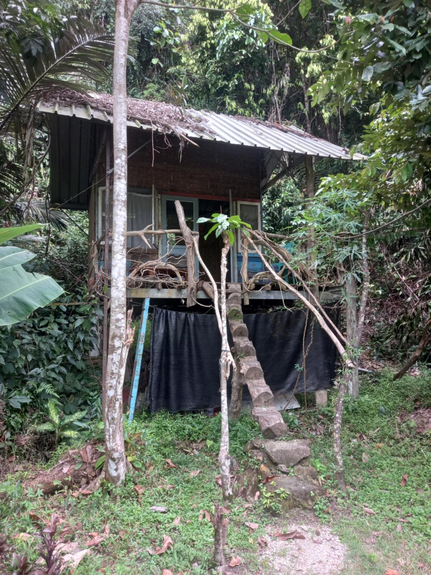 Sumatra Ecolodge Sungaipisang 객실 사진