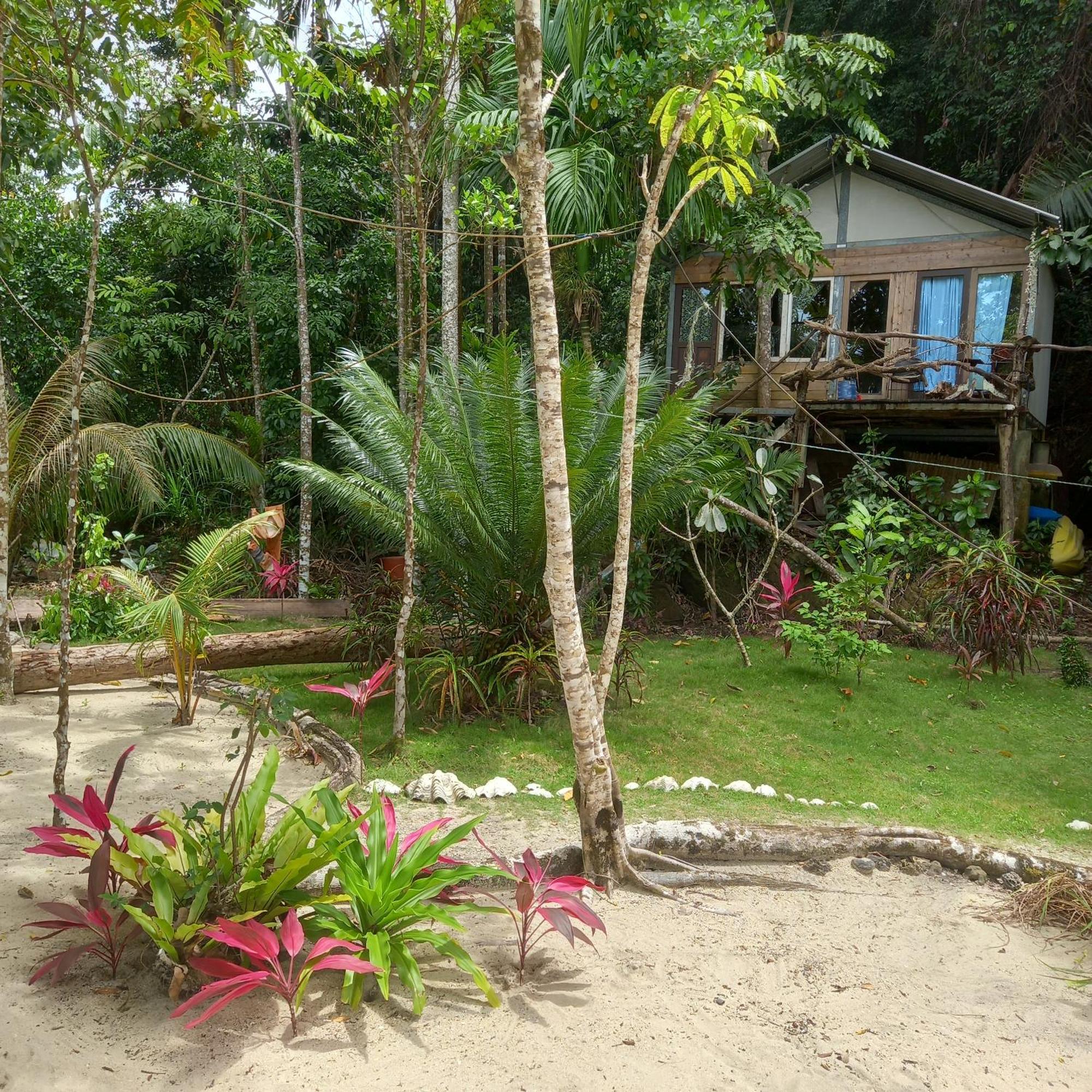 Sumatra Ecolodge Sungaipisang 객실 사진
